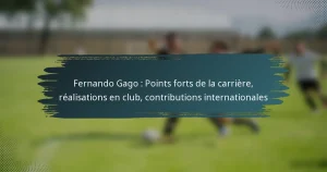 Fernando Gago : Points forts de la carrière, réalisations en club, contributions internationales